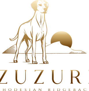 Zuzuri FCI 