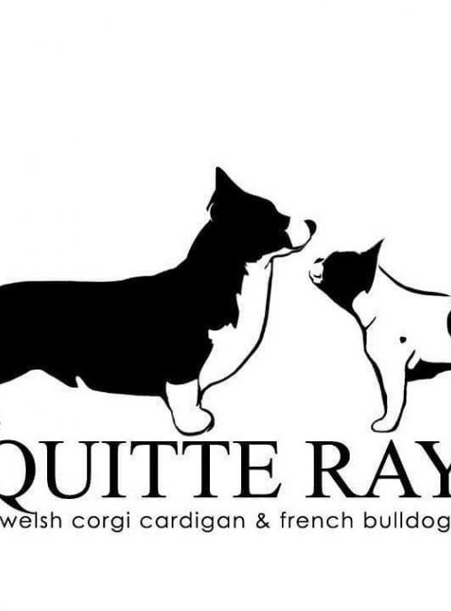 Quitte Ray FCI 