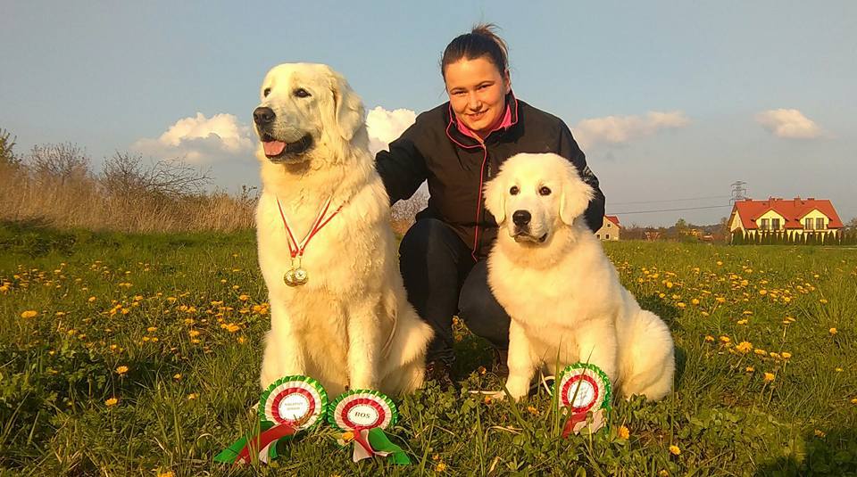 Ku Owcom FCI wystawa