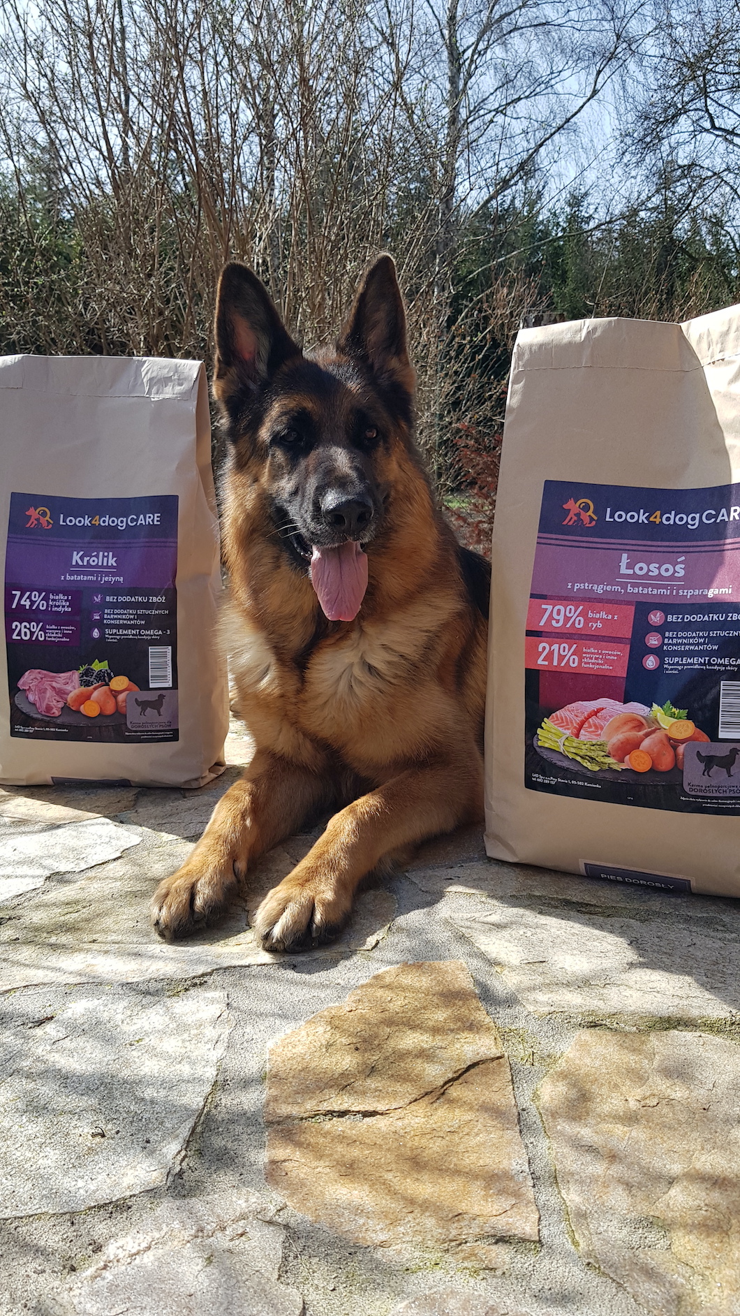 Karma sucha dla owczarka