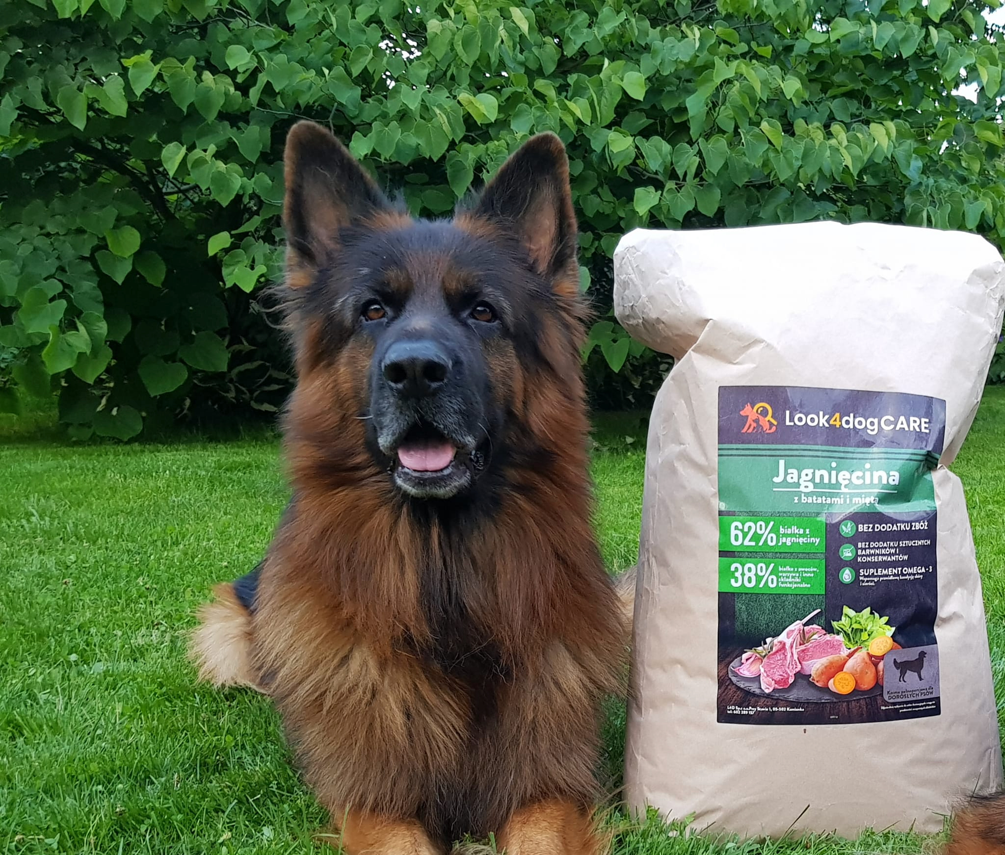 Sucha karma Look4dog CARE Jagnięcina