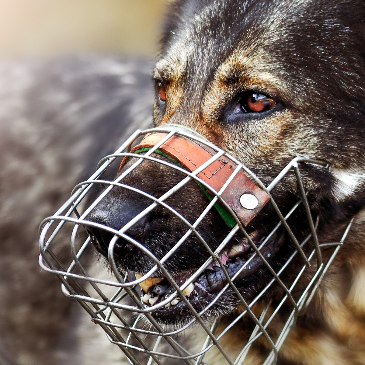 Kaganiec fizjologiczny