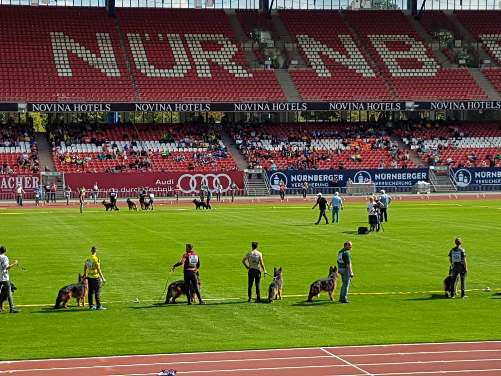 German Shephard Dog Show Nurnberg 2018