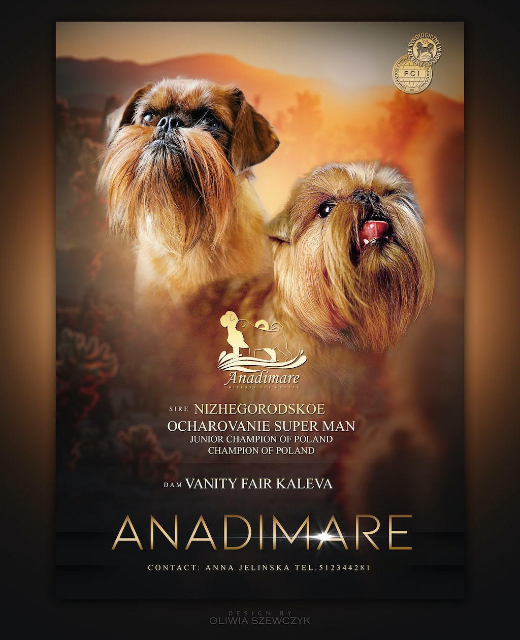 Hodowla - gryfonika brukselski