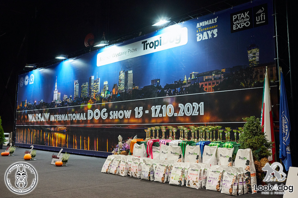 Hodowla - pies rasowy