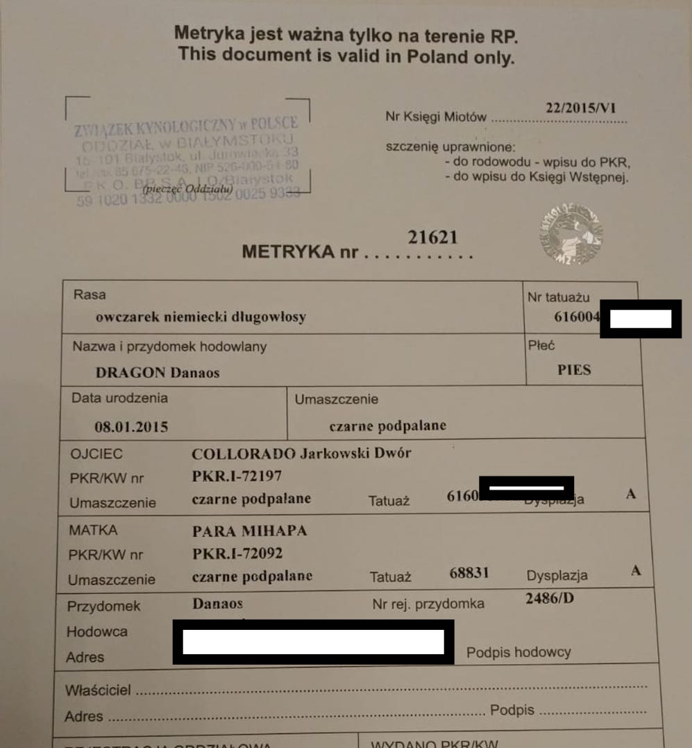 metryka psa rasowego