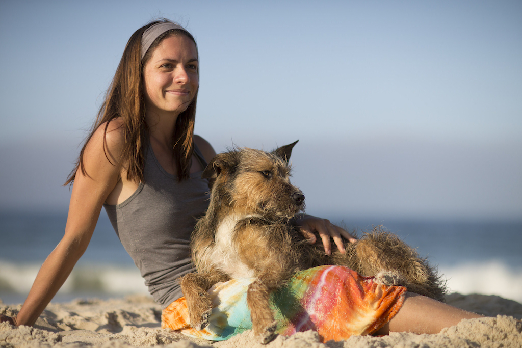 Owczarek pikardyjski charakter