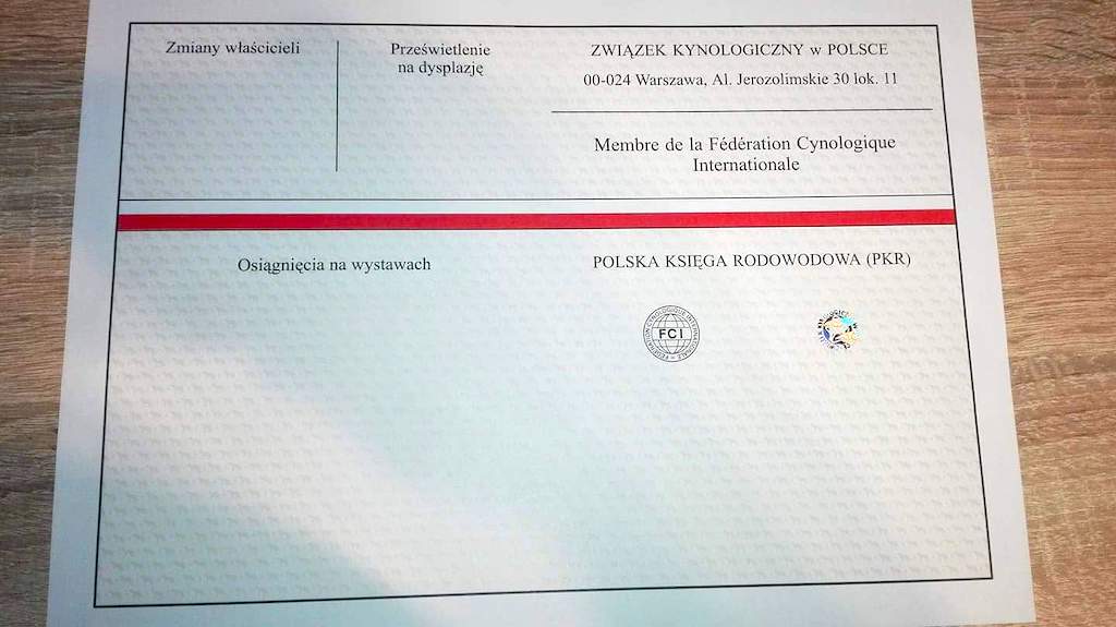 Polska księga rodowodowa - PKR