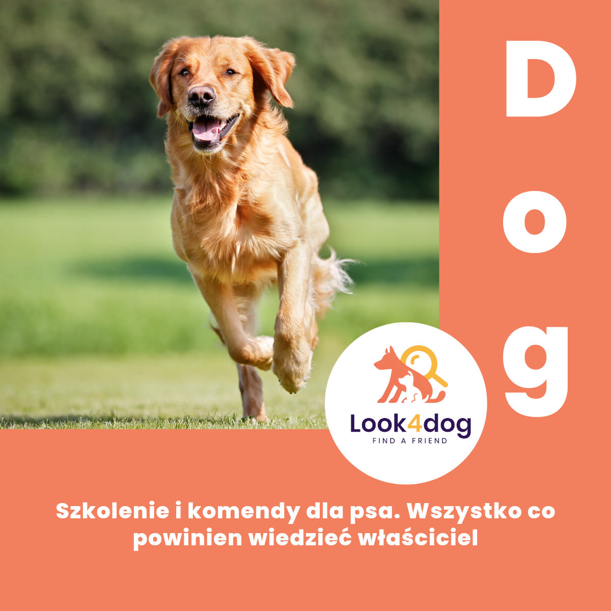 Look4dog szkolenie ebook