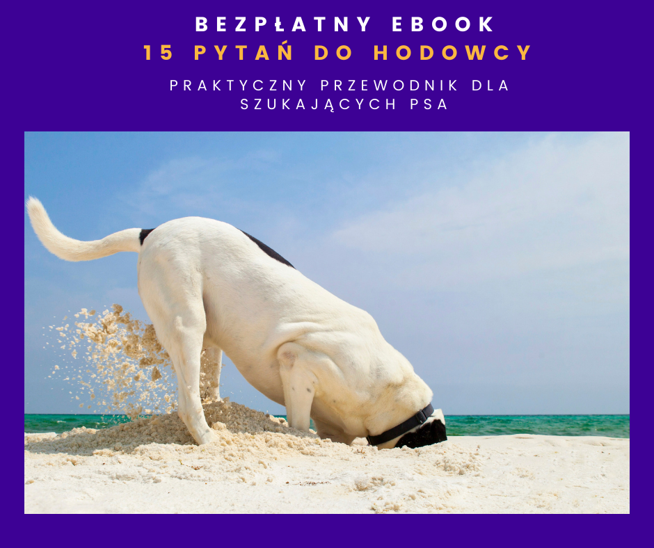 ebook o co pytać hodowcę psa