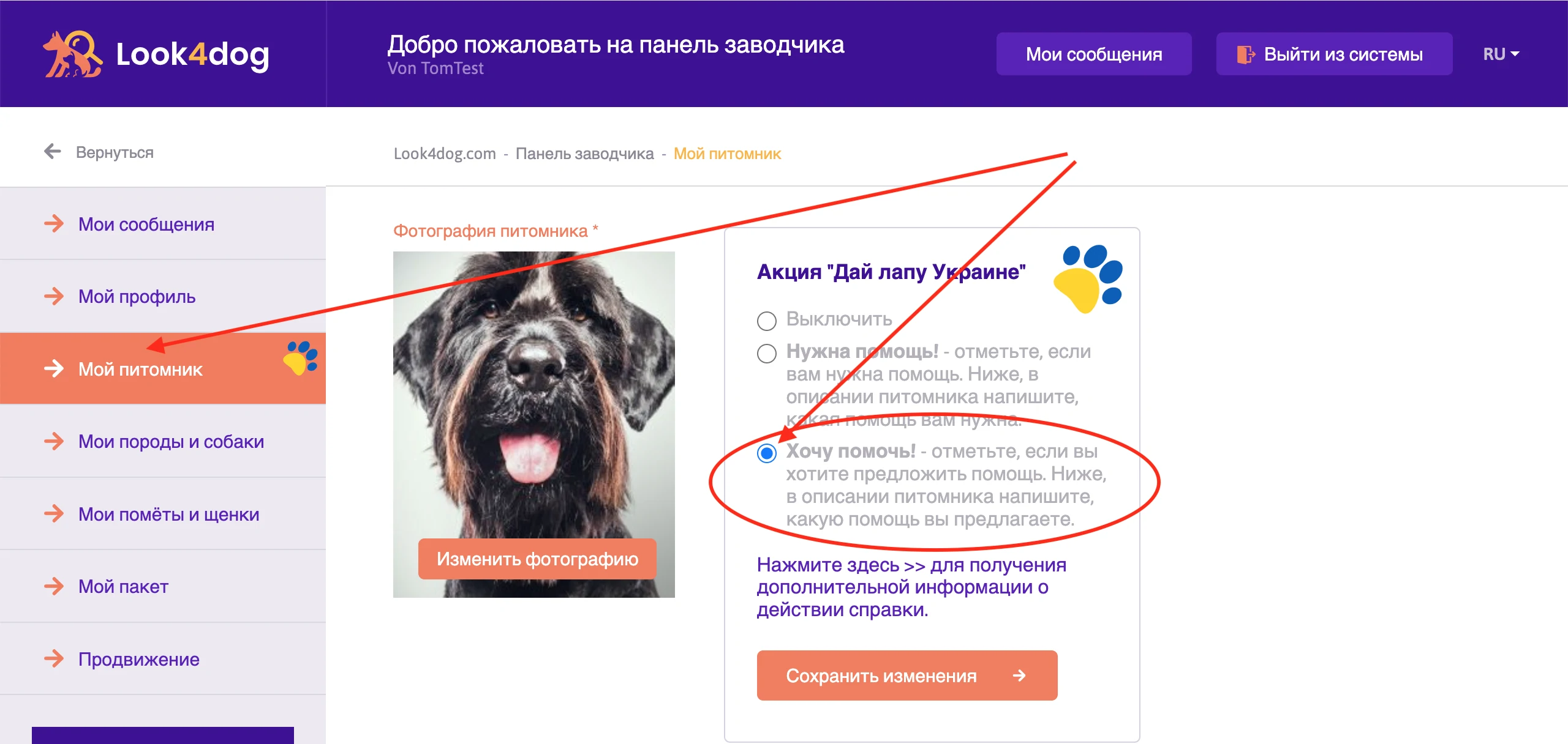 Акция Дай Лапу Украине