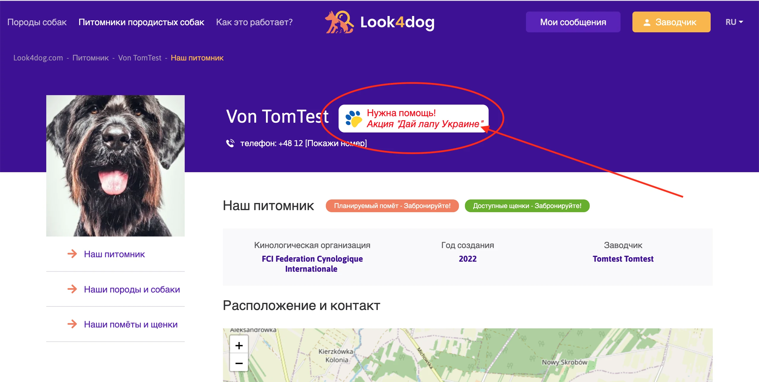 Акция Дай Лапу Украине