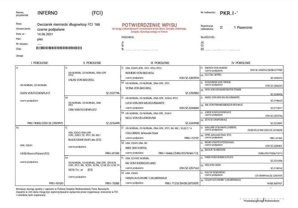 Rodowód - pies rasowy