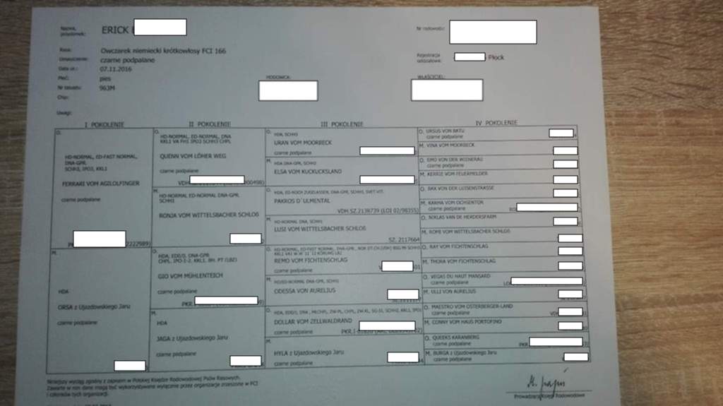 Rodowód psa zdjęcie