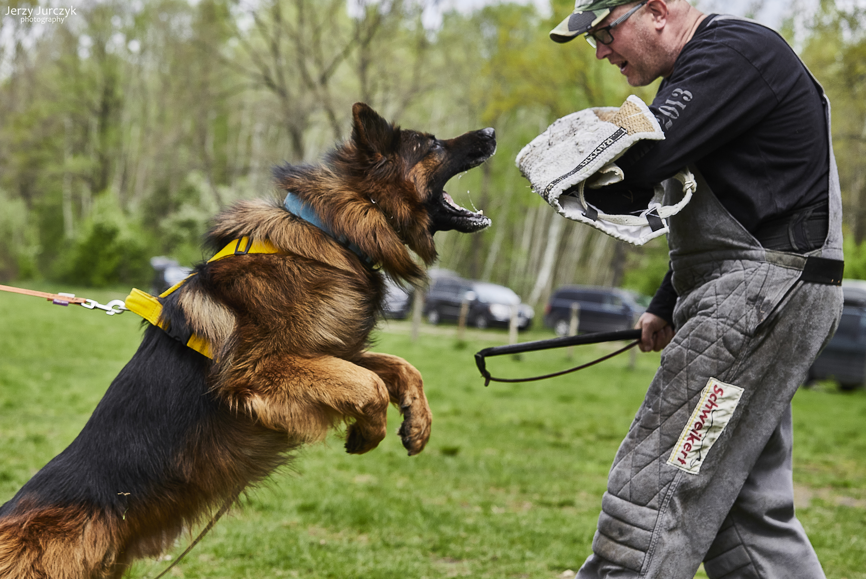 Szelki sportowe dla psa