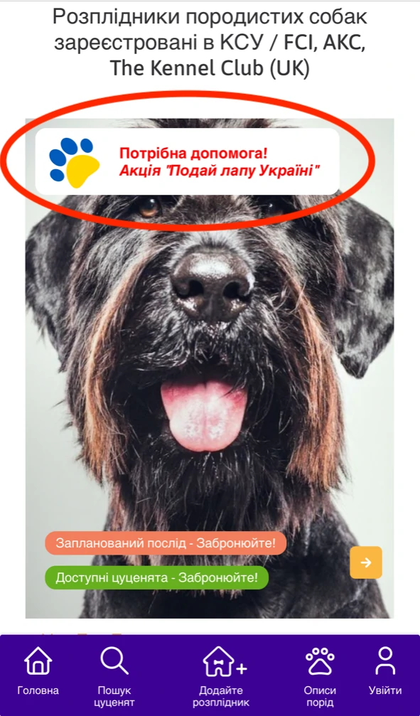 Акція - Подай Лапу Україні