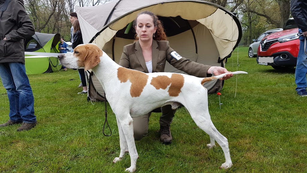 pointer 2&nbsp;wystawa Świerklaniec