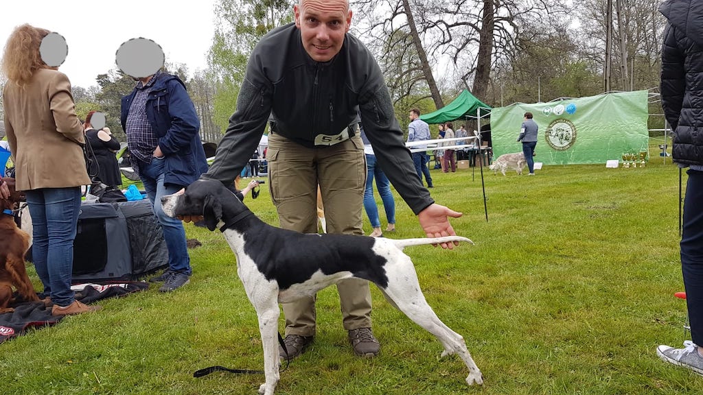 pointer z&nbsp;hodowcą wystawa Świerklaniec