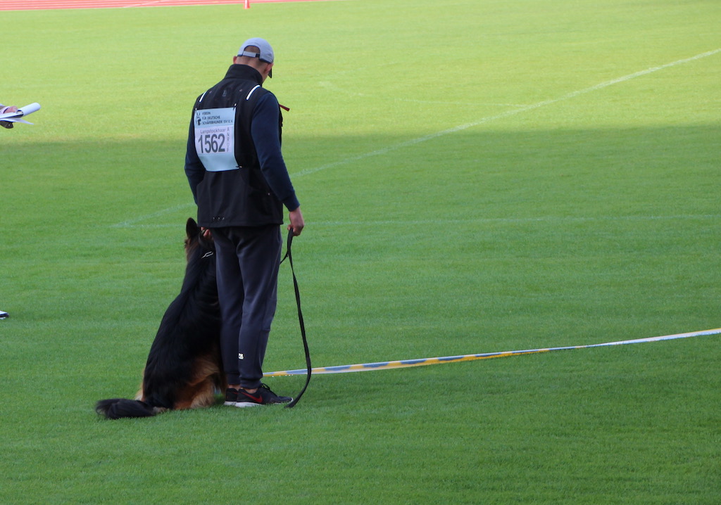 Black Hawk Wolf Lake V27 TSB 2019