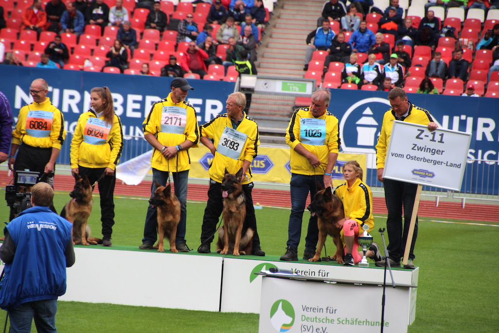 Najlepsze hodowle BSZS 2019 - 3. miejsce hodowla vom Osterberger-Land