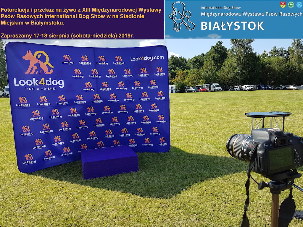 Zapowiedź XIII Międzynarodowa Wystawa Psów Rasowych Białystok