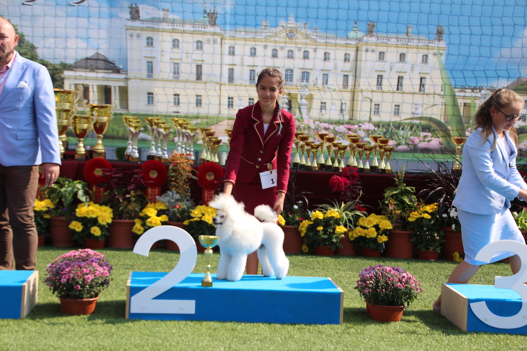 XIII Międzynarodowa Wystawa Ps&oacute;w Rasowych IDS CAIB Białystok 2019