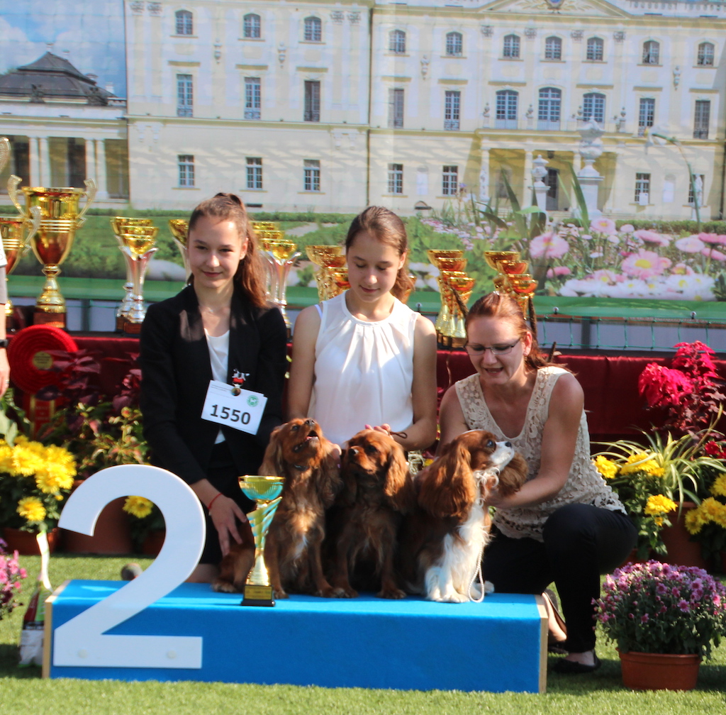 Apollo Sylena CAVALIER KING CHARLES SPANIEL Bialystok 2019