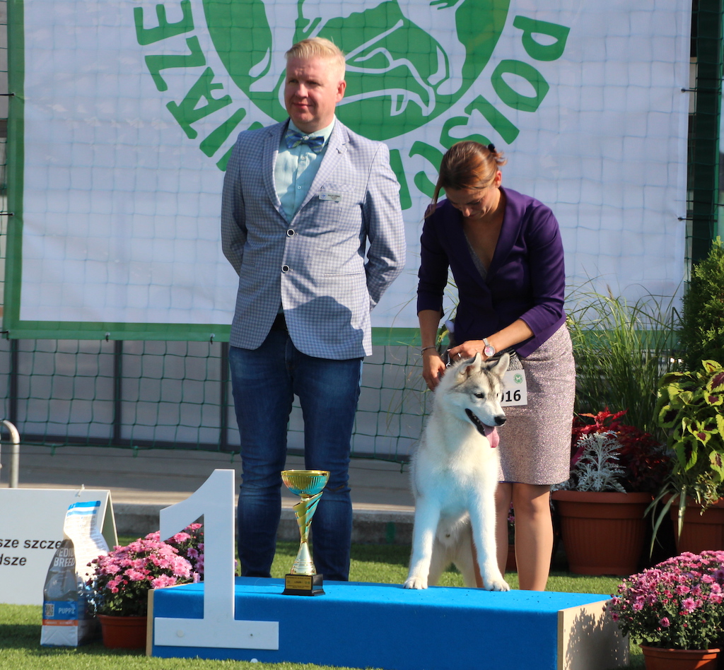 Ohiyesa Sniego Sunys Siberian Husky Bialystok 2019