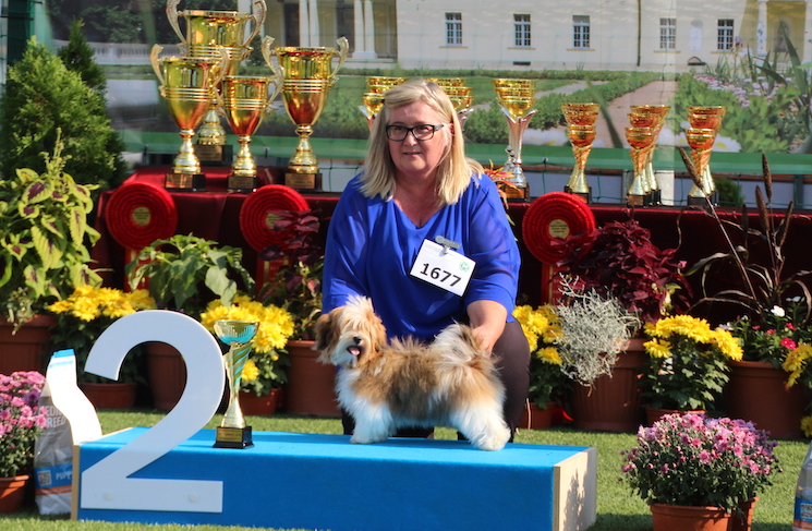 Almendares Bajka Hawańczyk