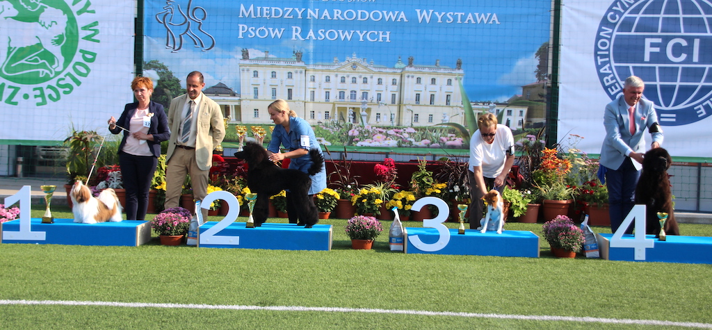 laureaci XIII Międzynarodowa Wystawa Ps&oacute;w Rasowych IDS CAIB Białystok 2019