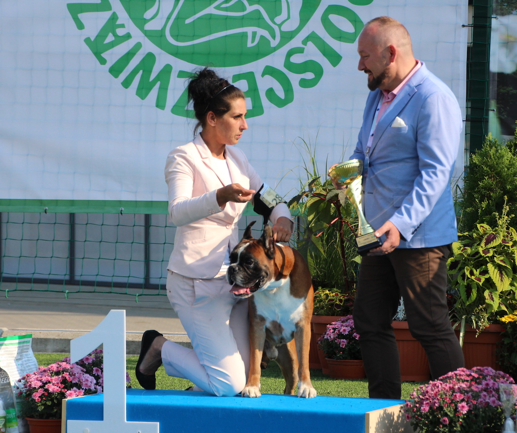 Giro Benignus Bokser Białystok 2019