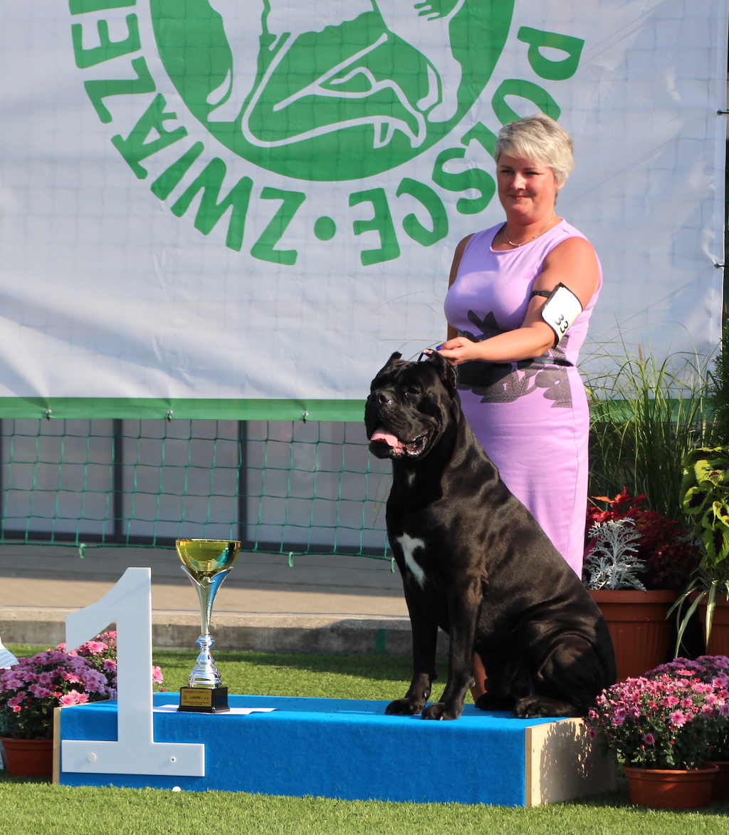 laureat wystawy ps&oacute;w rasowych Białystok 2019