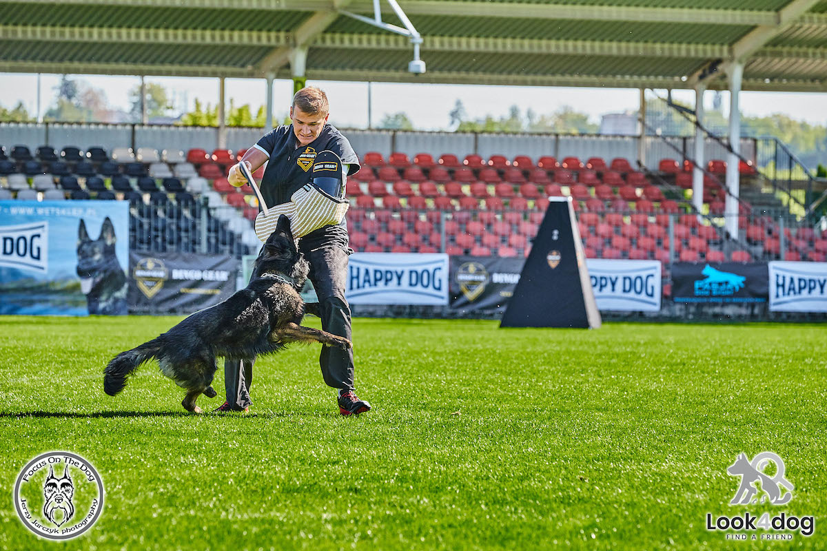 IGP Otwarte Mistrzostwa Polski IGP Polish OPEN 2021