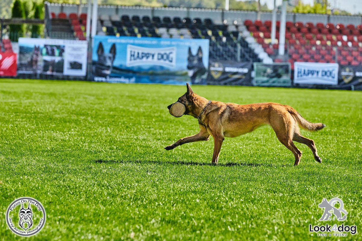 IGP Otwarte Mistrzostwa Polski IGP Polish OPEN 2021