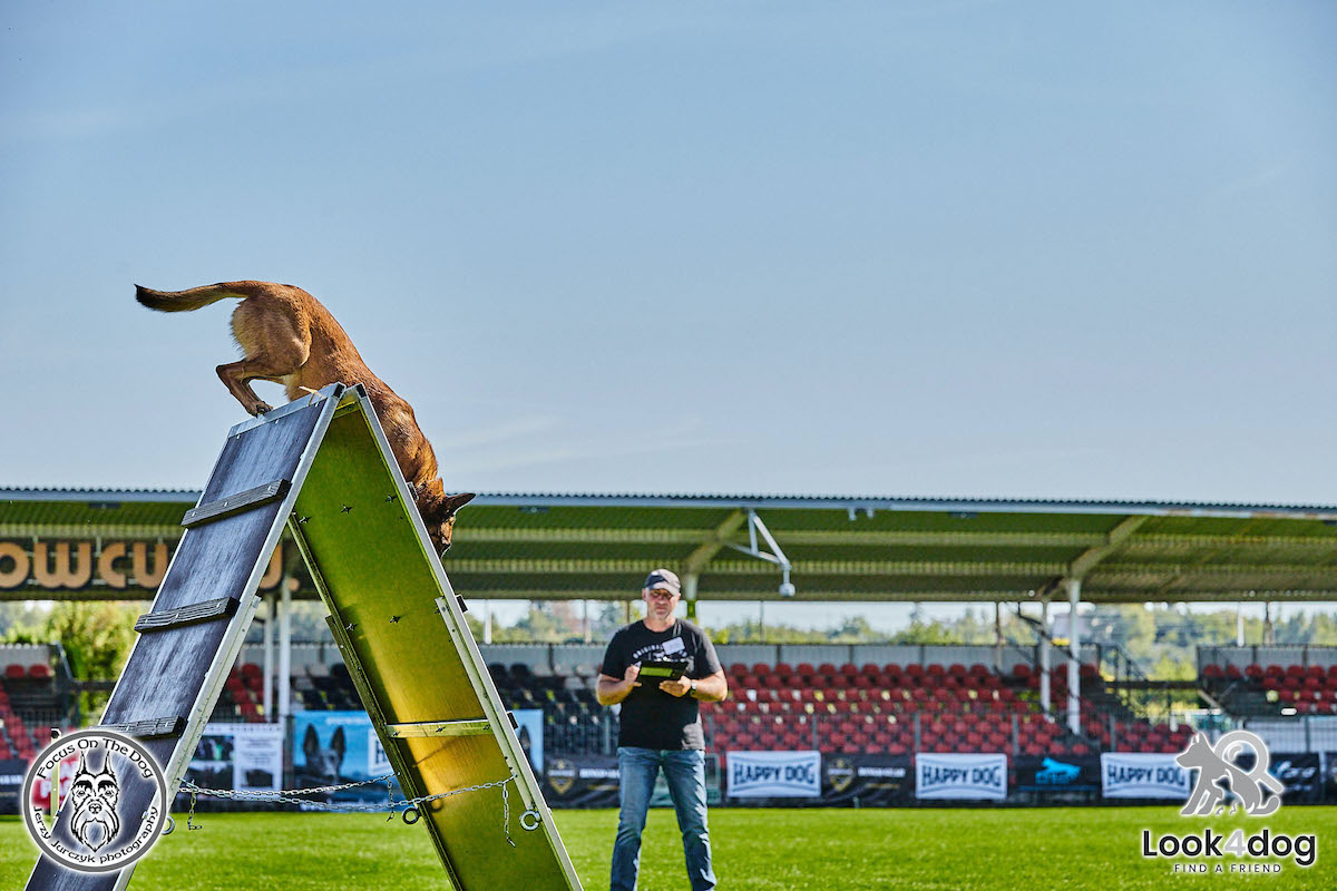 IGP Otwarte Mistrzostwa Polski IGP Polish OPEN 2021