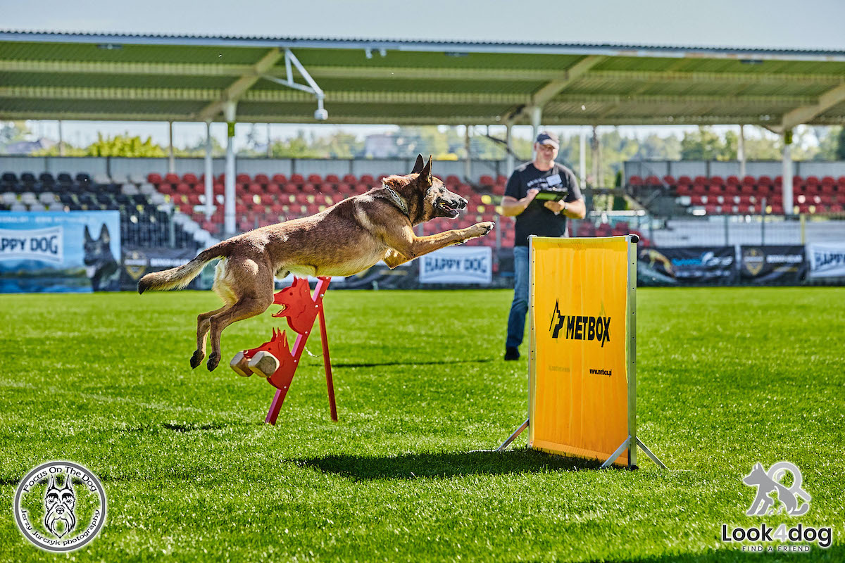IGP Otwarte Mistrzostwa Polski IGP Polish OPEN 2021