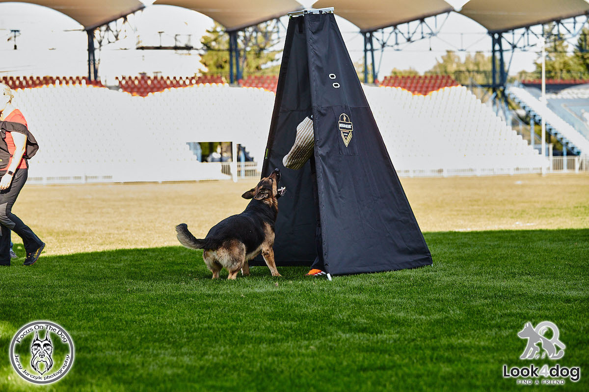 IGP Otwarte Mistrzostwa Polski IGP Polish OPEN 2021