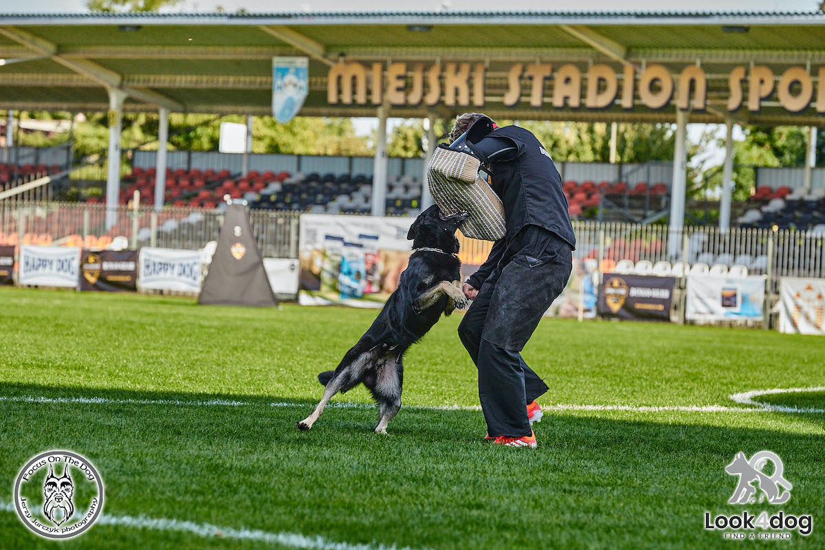 IGP Otwarte Mistrzostwa Polski IGP Polish OPEN 2021