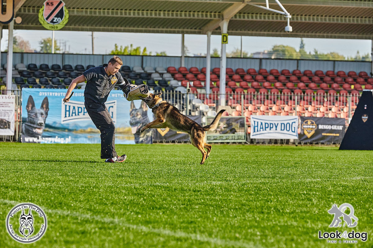 IGP Otwarte Mistrzostwa Polski IGP Polish OPEN 2021