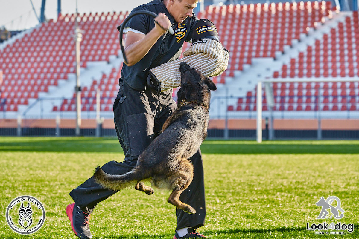 IGP Otwarte Mistrzostwa Polski IGP Polish OPEN 2021