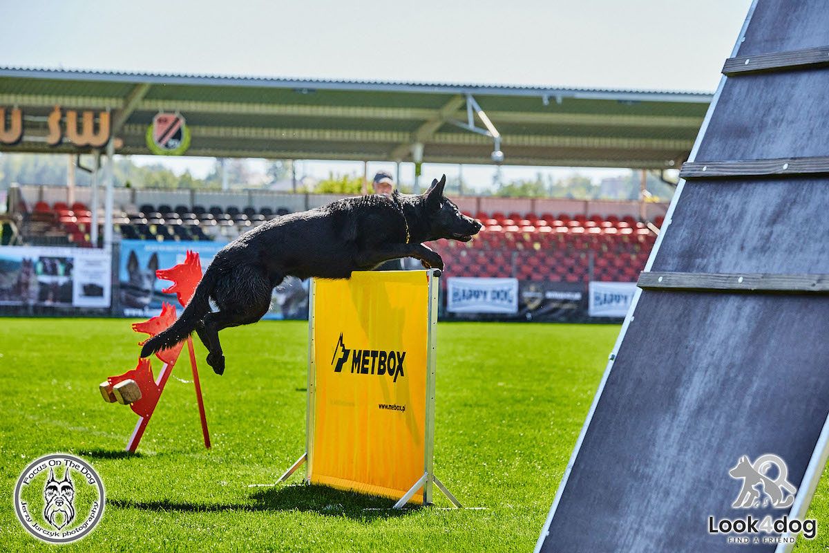 IGP Otwarte Mistrzostwa Polski IGP Polish OPEN 2021