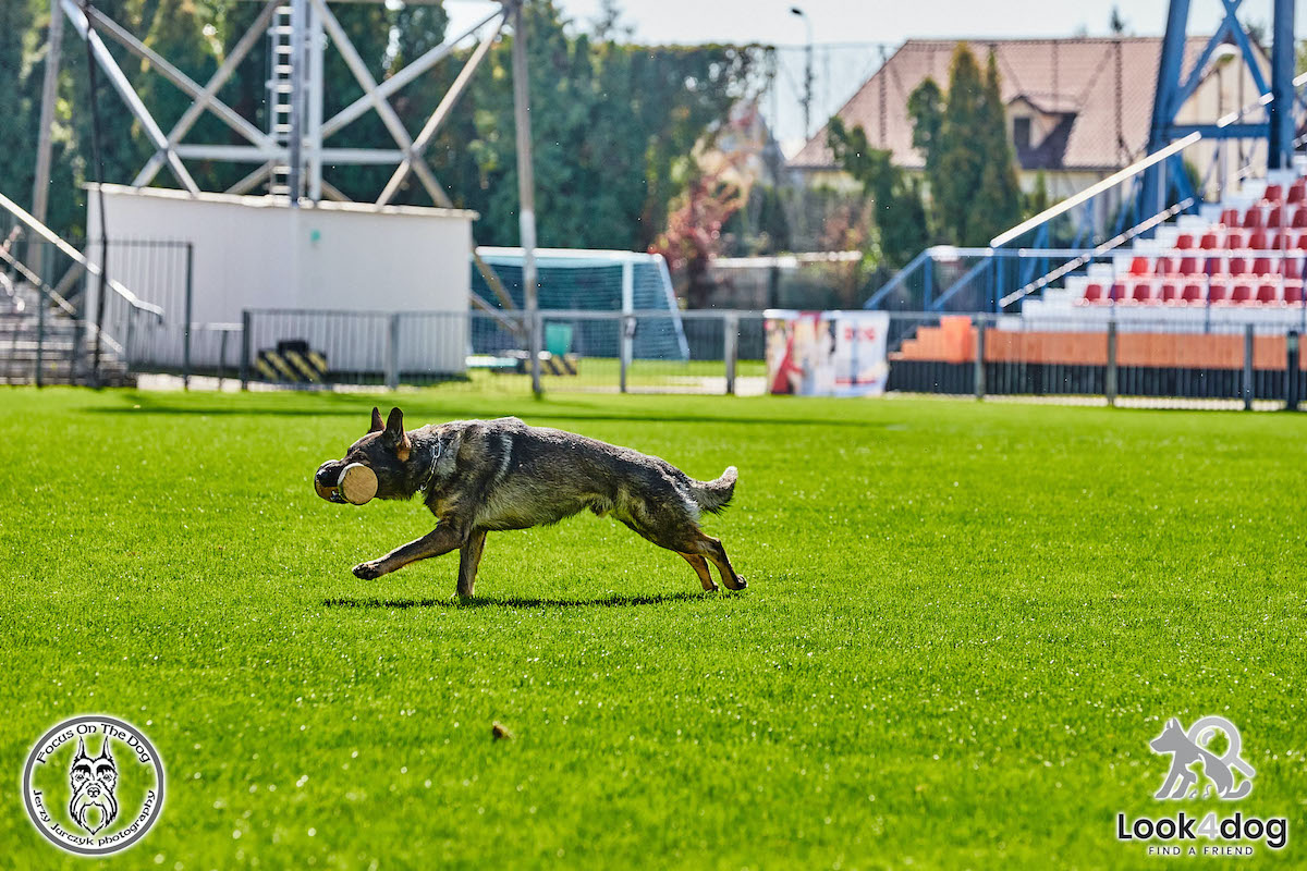 IGP Otwarte Mistrzostwa Polski IGP Polish OPEN 2021