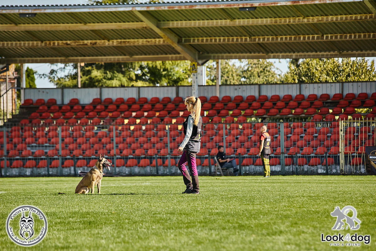 IGP Otwarte Mistrzostwa Polski IGP Polish OPEN 2021