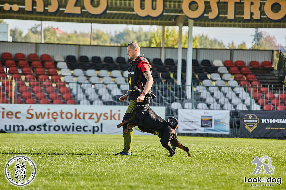 IGP Otwarte Mistrzostwa Polski IGP Polish OPEN 2021