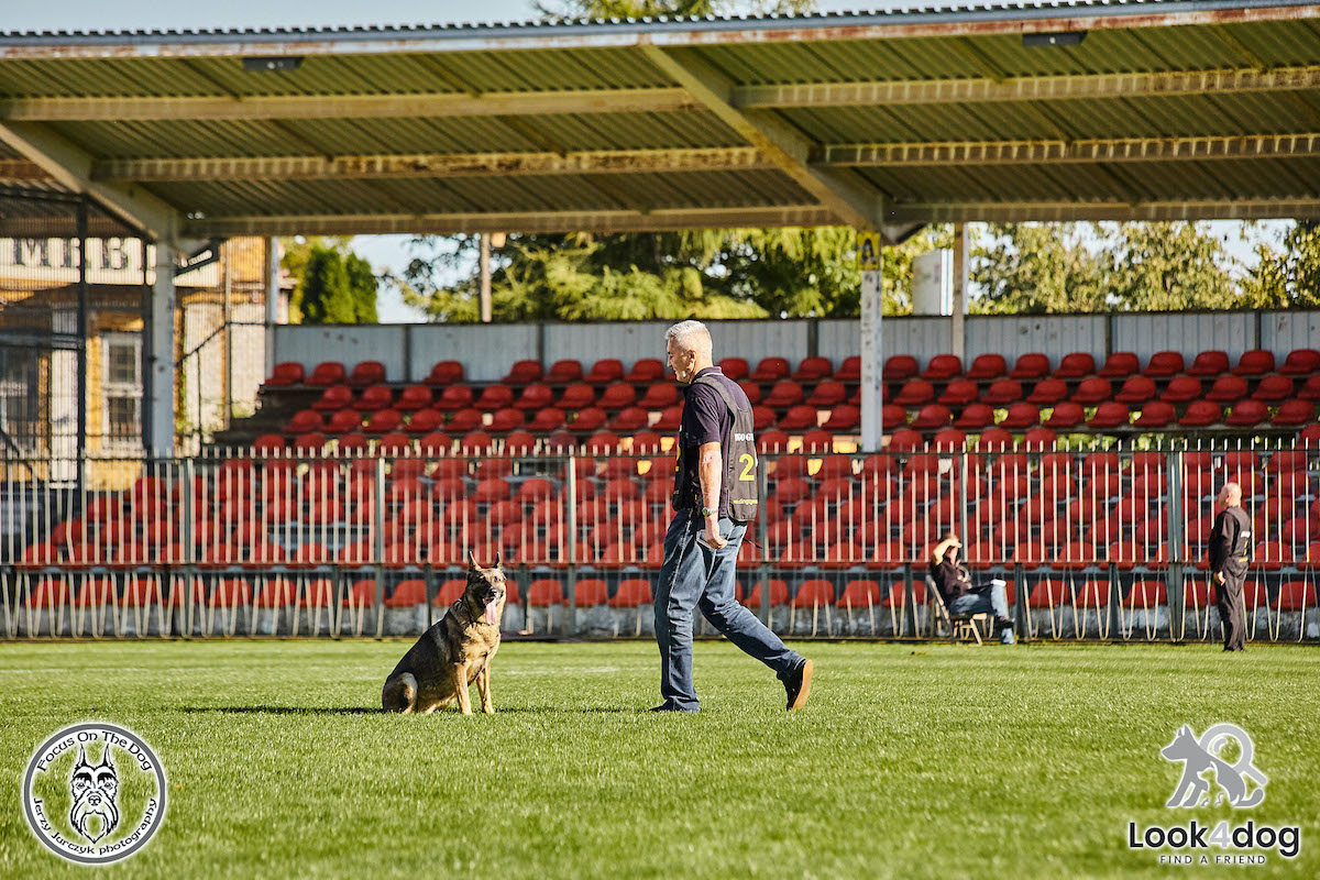 IGP Otwarte Mistrzostwa Polski IGP Polish OPEN 2021