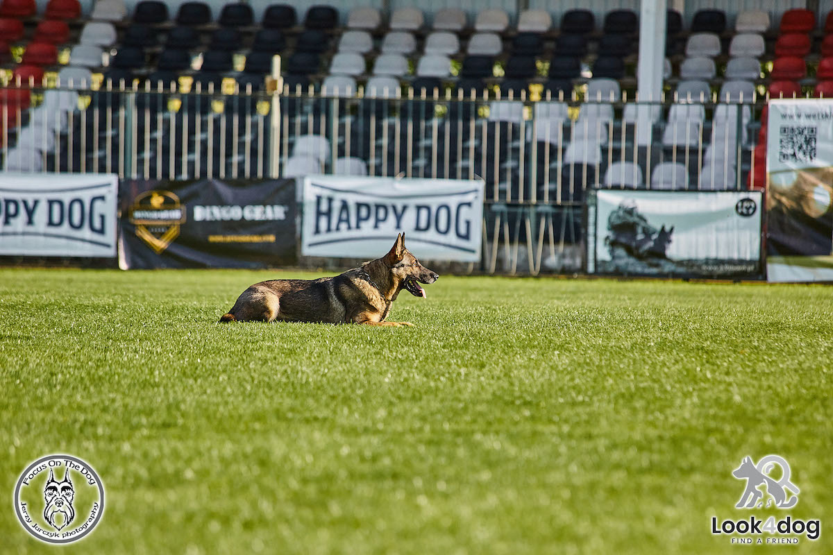 IGP Otwarte Mistrzostwa Polski IGP Polish OPEN 2021