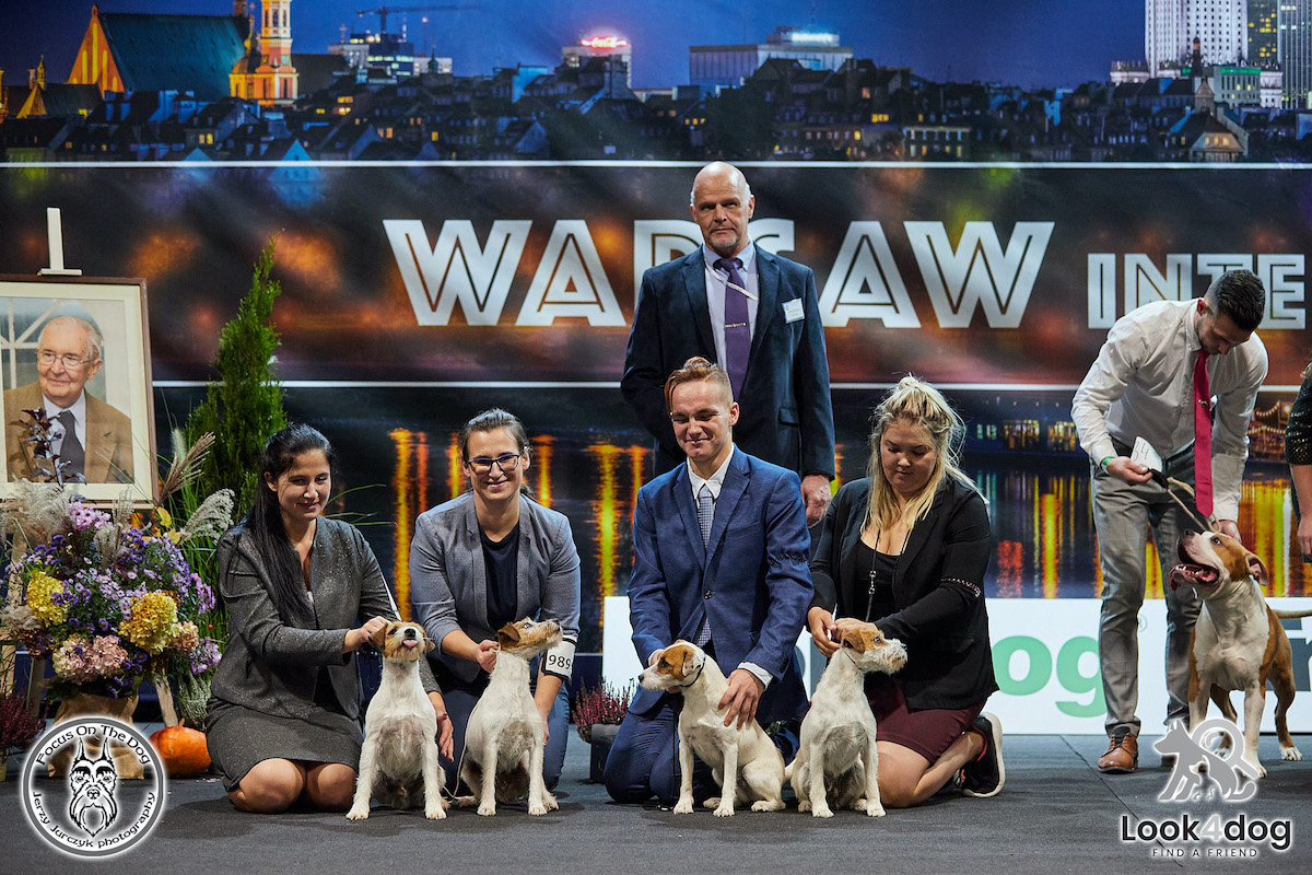 zdjęcia wystawa psów rasowych Nadarzyn 2021