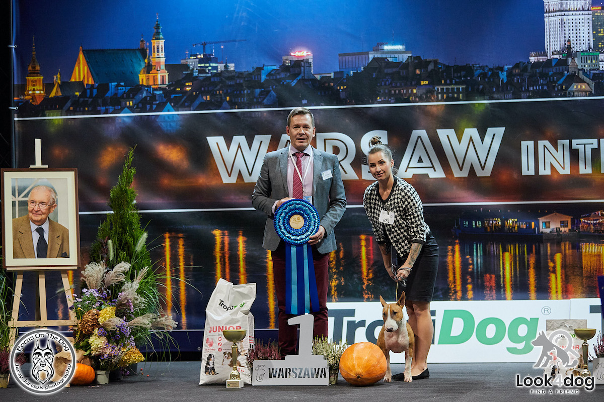 zdjęcia wystawa psów rasowych Nadarzyn 2021