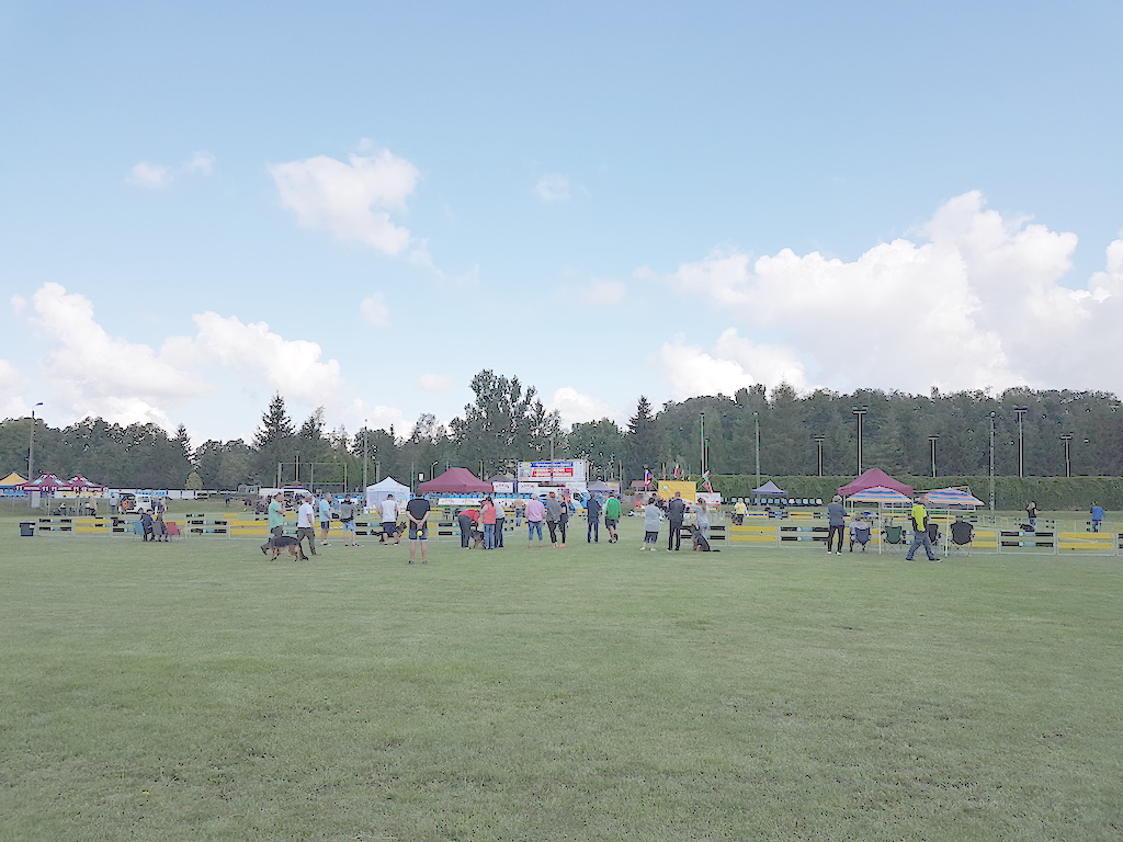 stadion Rypin 2019 Krajowa Wystawa owczarków