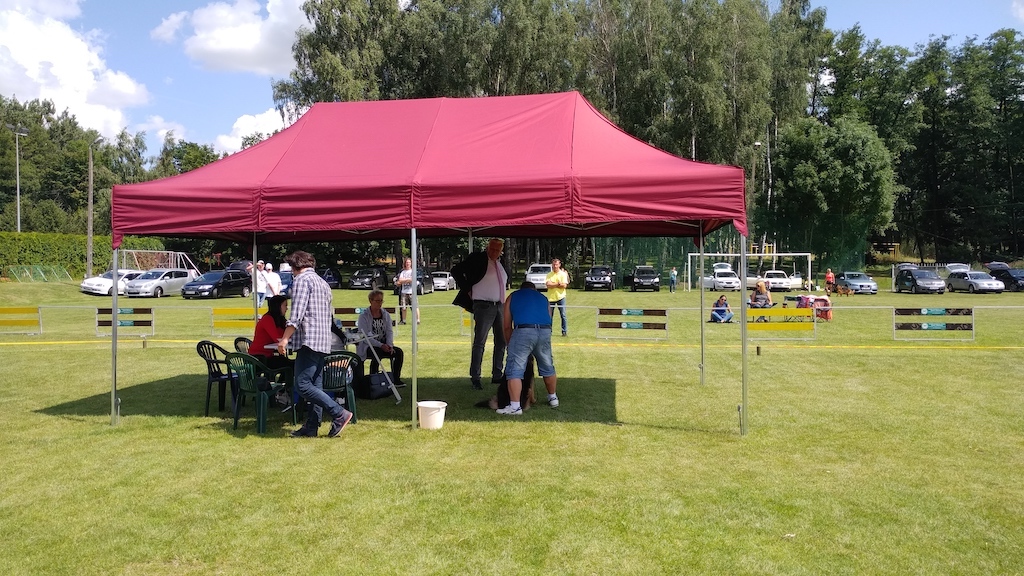 sędzia Rypin 2019 wystawa owczarków Wolfgang Hassgall